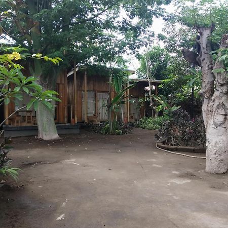 Beach Box Bungalow Τζίλι Τραγουανγκάν Εξωτερικό φωτογραφία