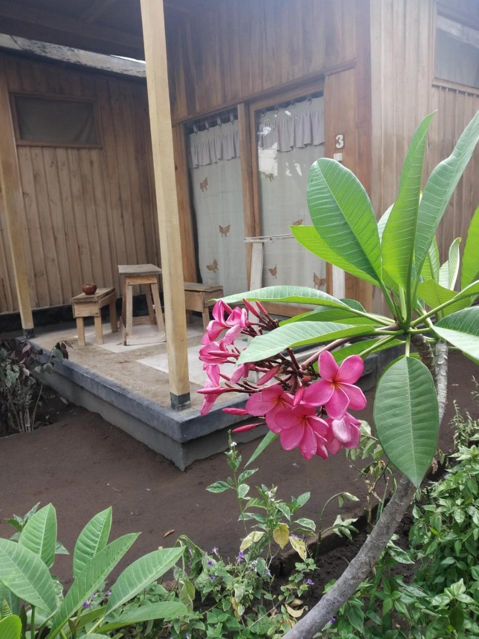 Beach Box Bungalow Τζίλι Τραγουανγκάν Εξωτερικό φωτογραφία